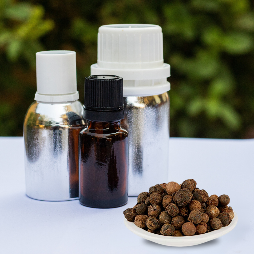 Sugandhkokila Oil (Cinnamomum glaucescens)